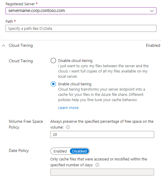 Screenshot, der die Optionen für Cloudtiering im Bereich zum Hinzufügen eines Serverendpunkts zeigt.