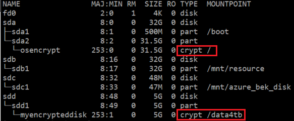 Betriebssystemebene „crypt“ für eine Partition