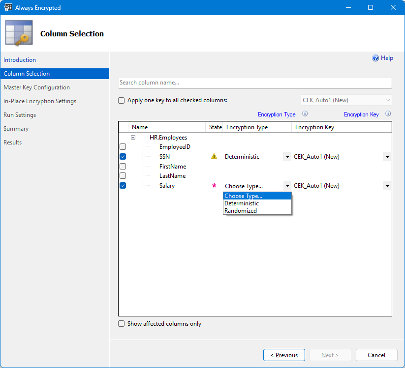 Screenshot der Spaltenauswahl im Assistenten für Always Encrypted.