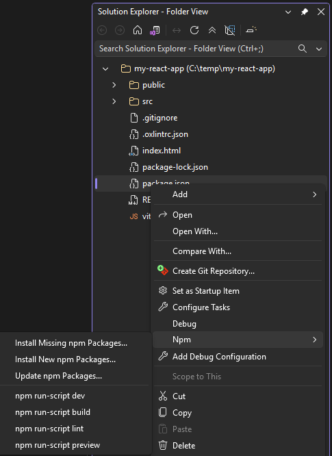 npm-Menü in Projektmappen-Explorer