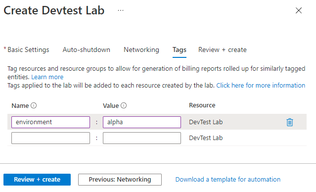 Screenshot della scheda Tag nel modulo di creazione di DevTest Labs.