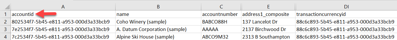 File di esportazione di esempio da una tabella Account che mostra accountid come chiave primaria.