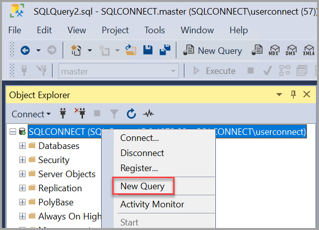 Screenshot del nuovo link di query.