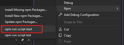 npm メニューから開始スクリプトを実行する