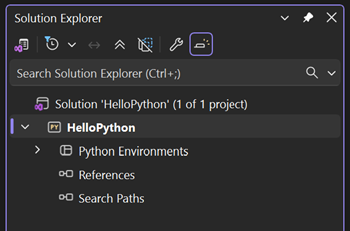 Captura de tela mostrando o Projeto Web Python vazio recém-criado no Gerenciador de Soluções.